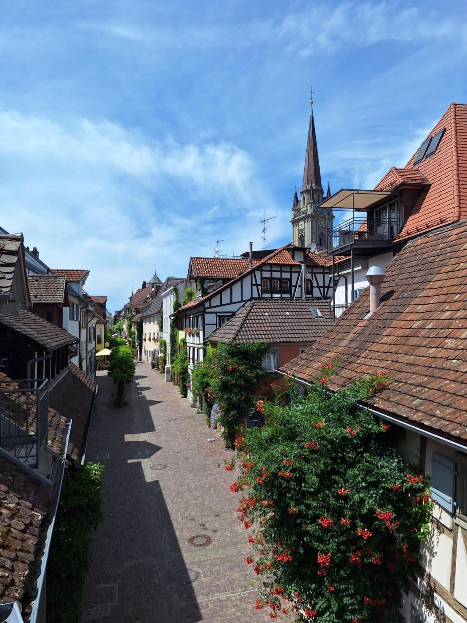 Ferienwohnung Ueberblick Radolfzell am Bodensee Eksteriør billede